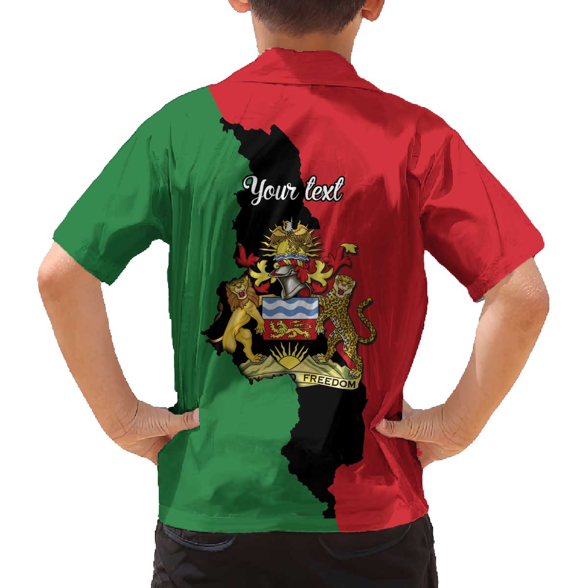 Malawi Flag Map Family Matching Off The Shoulder Long Sleeve Dress and Hawaiian Shirt Simple Malawi Emblem Coat of Arms - Wonder Print Shop