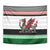 Cymru Celtic Wales Knot Tapestry Celtic Nation Heritage Pride - Wonder Print Shop