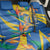 Bird of Paradise Flower Madeira Personalized Back Car Seat Cover - Wonder Print Shop