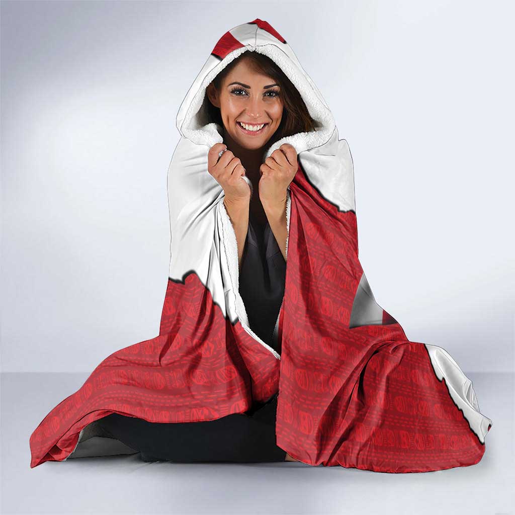 Hands Off Greenland Hooded Blanket Poland Bear with Flag