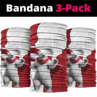 Hands Off Greenland Neck Gaiter Poland Bear with Flag