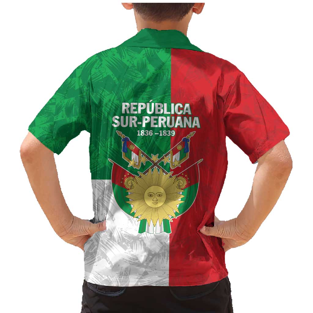 Republic of South Peru Family Matching Mermaid Dress and Hawaiian Shirt Version 1836 - 1839