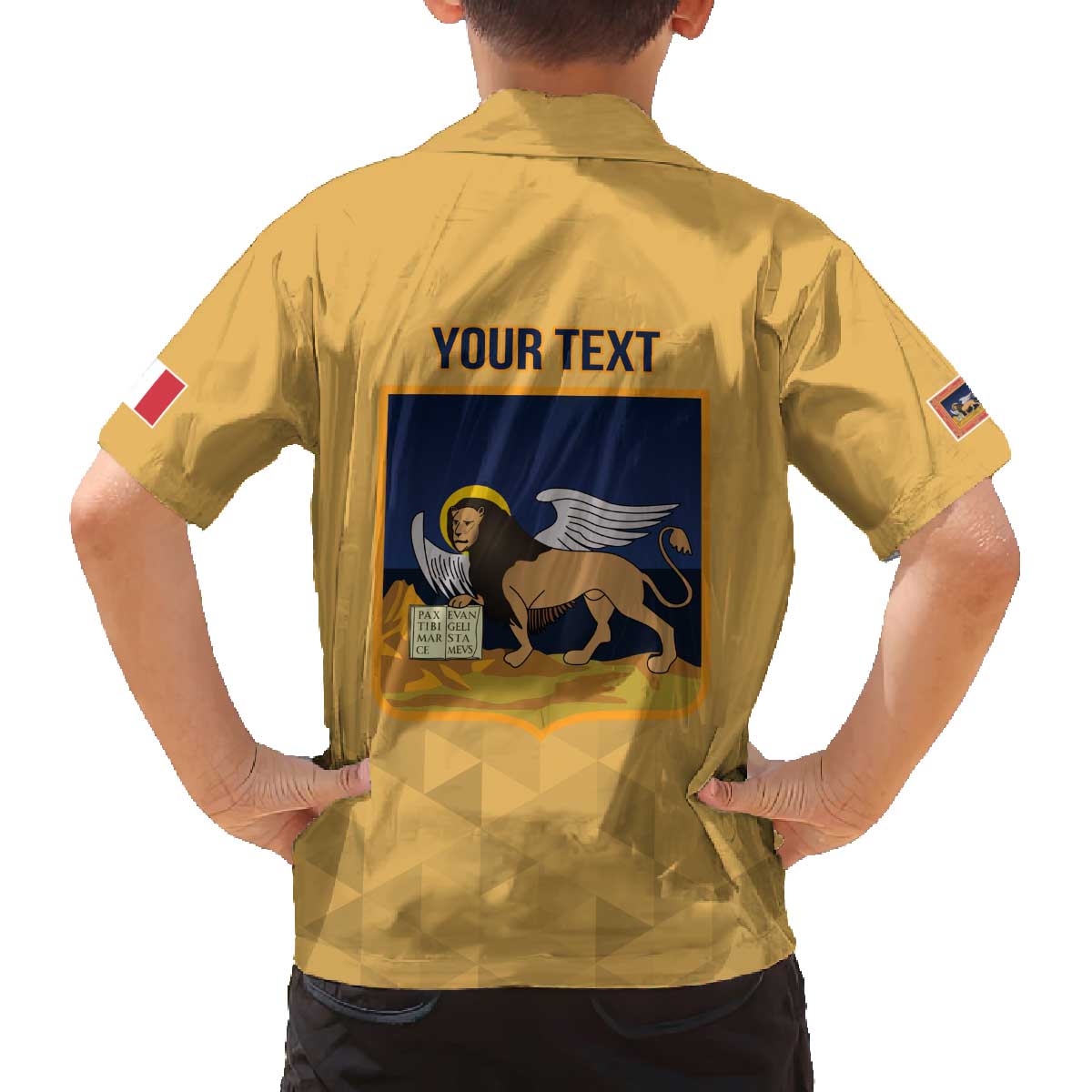 Personalized Italy Veneto Family Matching Off The Shoulder Long Sleeve Dress and Hawaiian Shirt Inspiration Flags Style