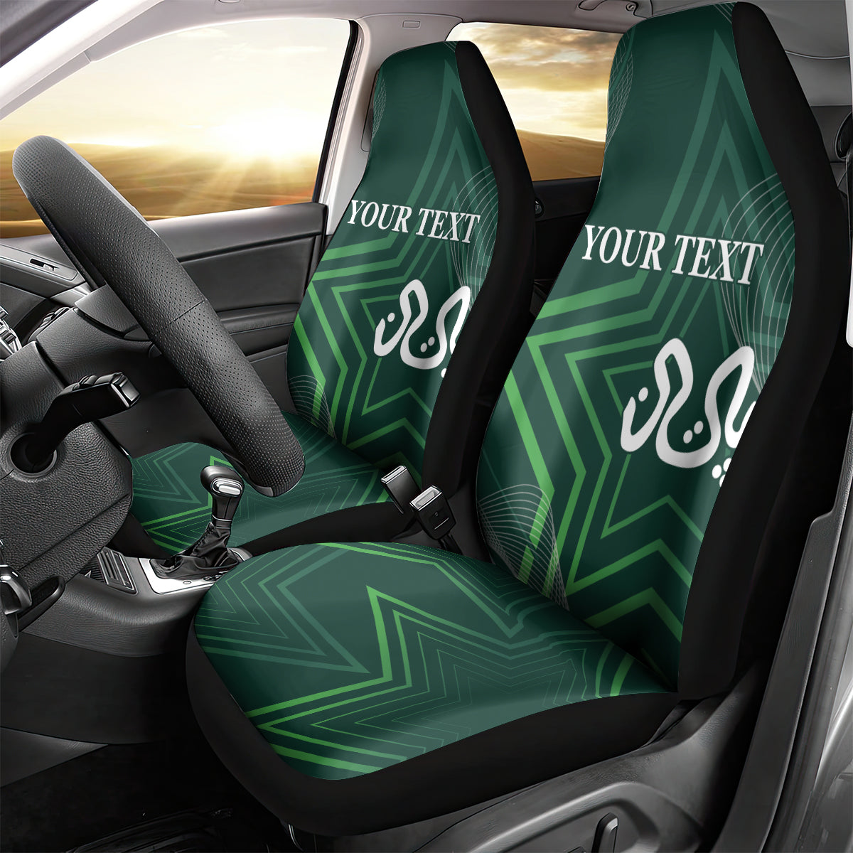 Pakistan Cricket World Cup 2024 Car Seat Cover Shaheens Make Champions LT9 - Wonder Print Shop