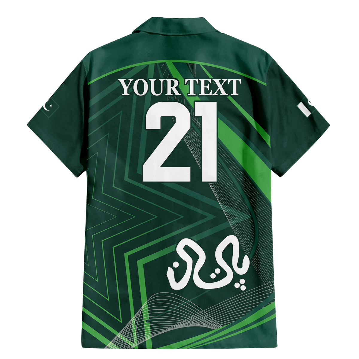 Pakistan Cricket World Cup 2024 Family Matching Mermaid Dress and Hawaiian Shirt Shaheens Make Champions LT9 - Wonder Print Shop