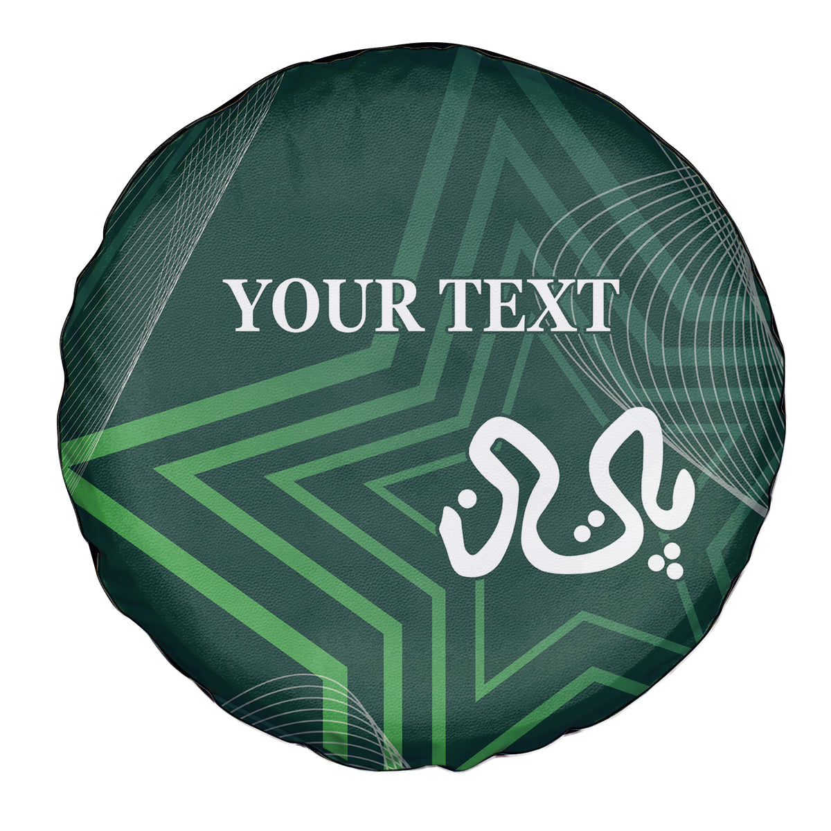 Pakistan Cricket World Cup 2024 Spare Tire Cover Shaheens Make Champions - Wonder Print Shop