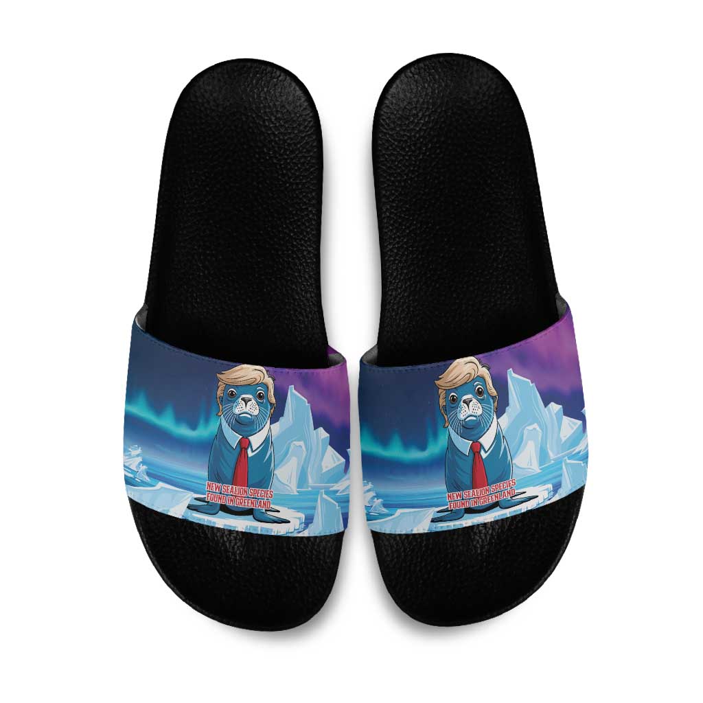 I Stand With Greenland Slide Sandals Funny Sealion Founding