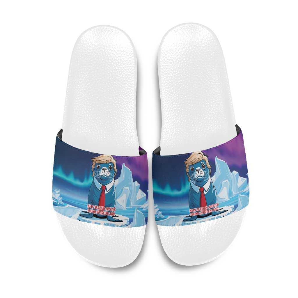 I Stand With Greenland Slide Sandals Funny Sealion Founding