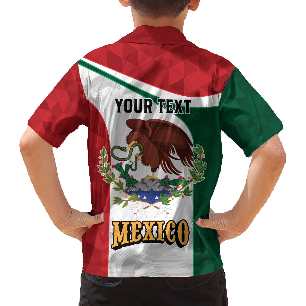 Eagle Devouring Snake Mexican Emblem Personalized Family Matching Off The Shoulder Long Sleeve Dress and Hawaiian Shirt Sporty Style