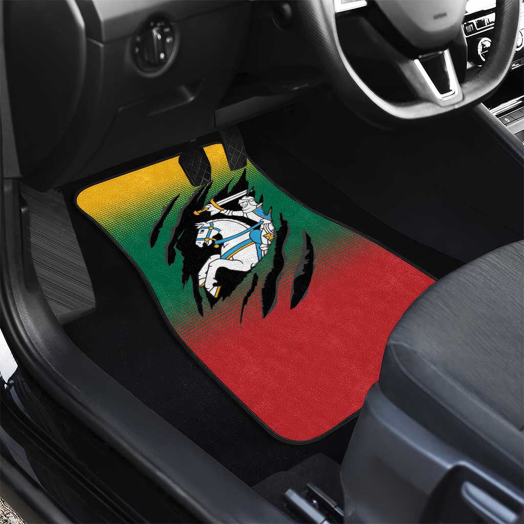 Lithuania Vytis Car Mats Lietuvos Chasing and Fighting