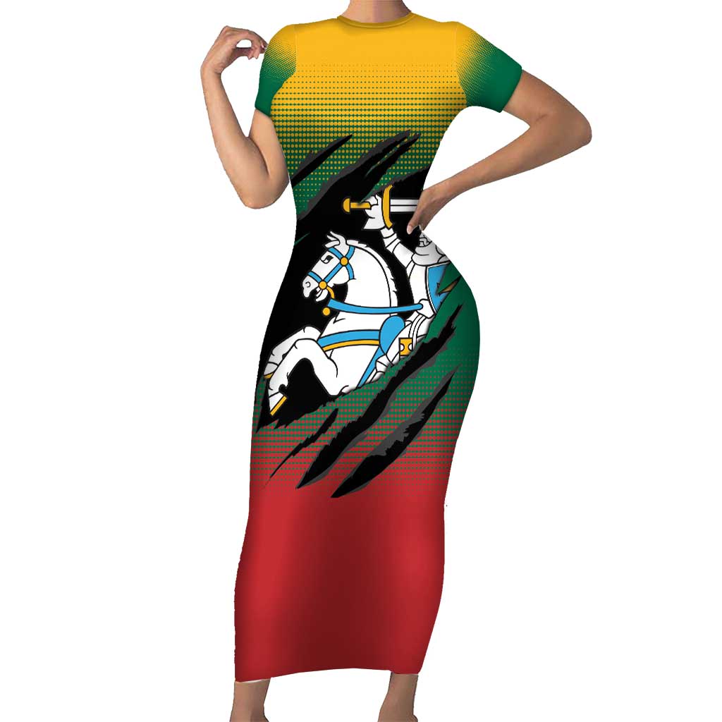 Lithuania Vytis Family Matching Short Sleeve Bodycon Dress and Hawaiian Shirt Lietuvos Chasing and Fighting
