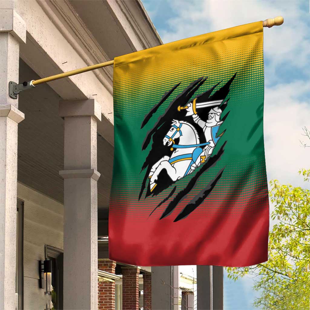 Lithuania Vytis Garden Flag Lietuvos Chasing and Fighting