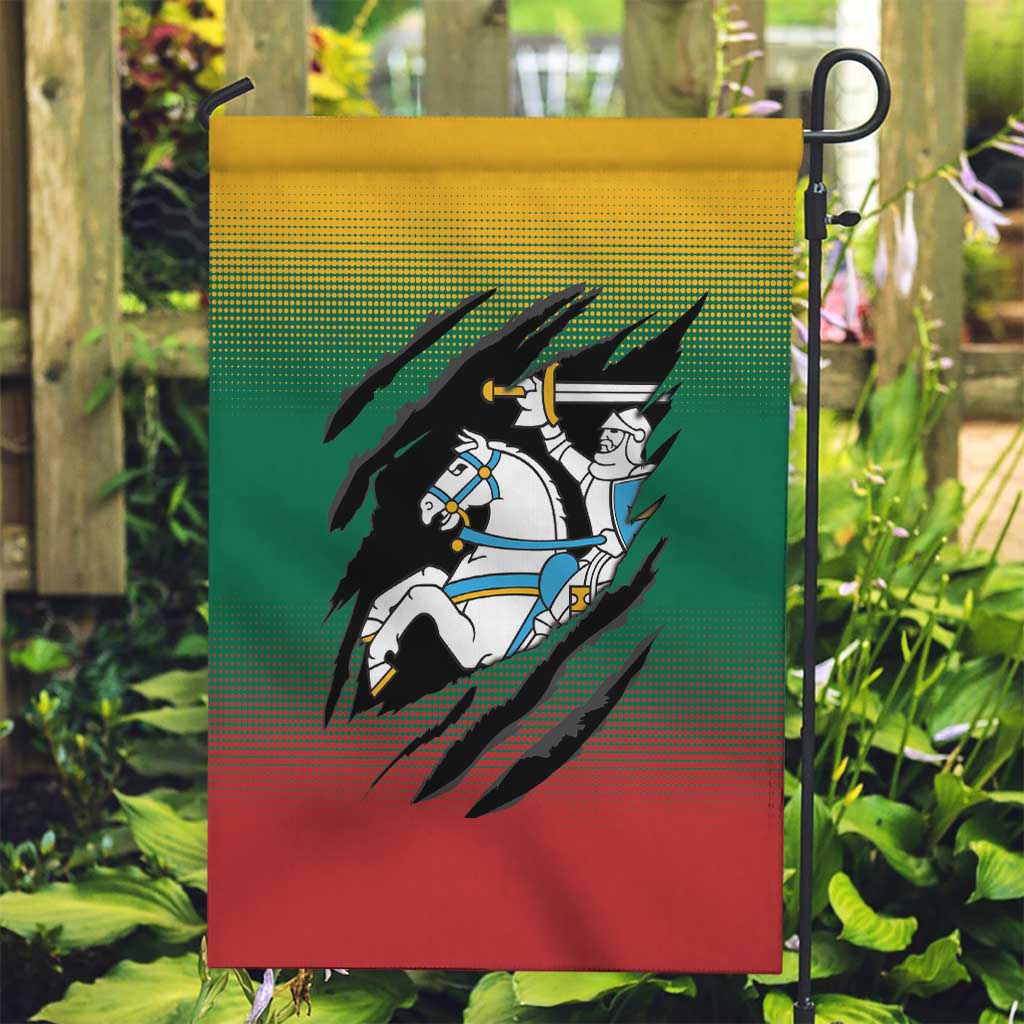 Lithuania Vytis Garden Flag Lietuvos Chasing and Fighting