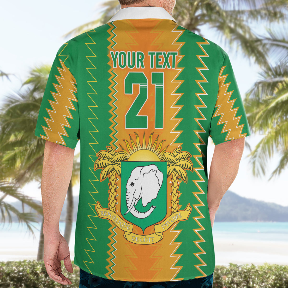 Custom Ivory Coast Football Hawaiian Shirt The Champions Les Elephants 2024 - Wonder Print Shop