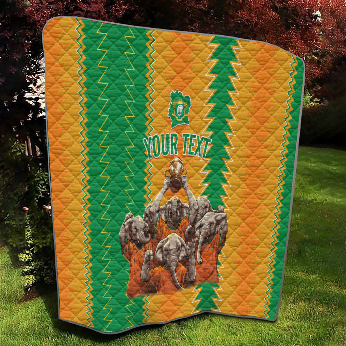 Custom Ivory Coast Football Quilt The Champions Les Elephants 2024 - Wonder Print Shop