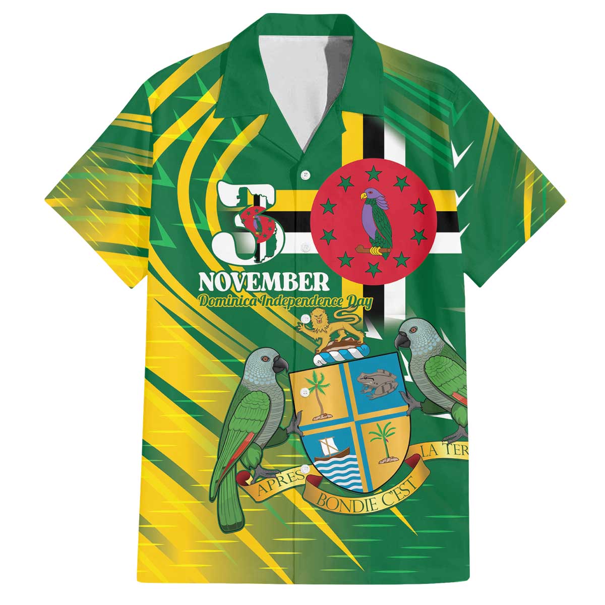 Dominica Independence Day Family Matching Off The Shoulder Long Sleeve Dress and Hawaiian Shirt 3 November Coat Of Arms - Wonder Print Shop