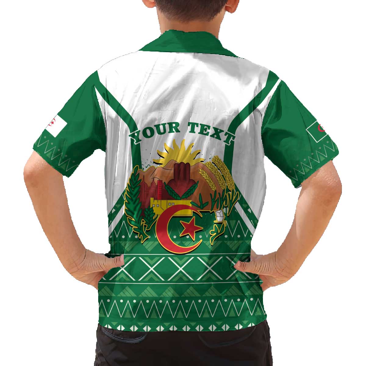 Personalized Algeria Family Matching Off The Shoulder Long Sleeve Dress and Hawaiian Shirt Coat Of Arms African Pattern - Wonder Print Shop