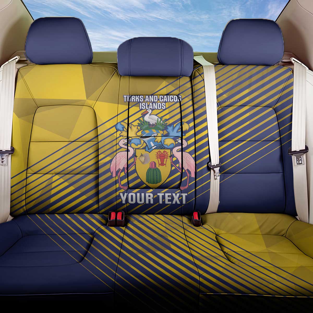 Custom Turks and Caicos Islands Football Back Car Seat Cover 2025 Go Champions