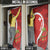 Personalised Switzerland Tennis Door Cover Swiss Born To Play - Wonder Print Shop