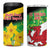 Wales Saint David's Day 4 in 1 Can Cooler Tumbler Welsh Dragon Dydd Gwyl Dewi Hapus!