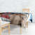 Personalised United States And Australia Tablecloth USA Eagle With Aussie Kangaroo - Wonder Print Shop