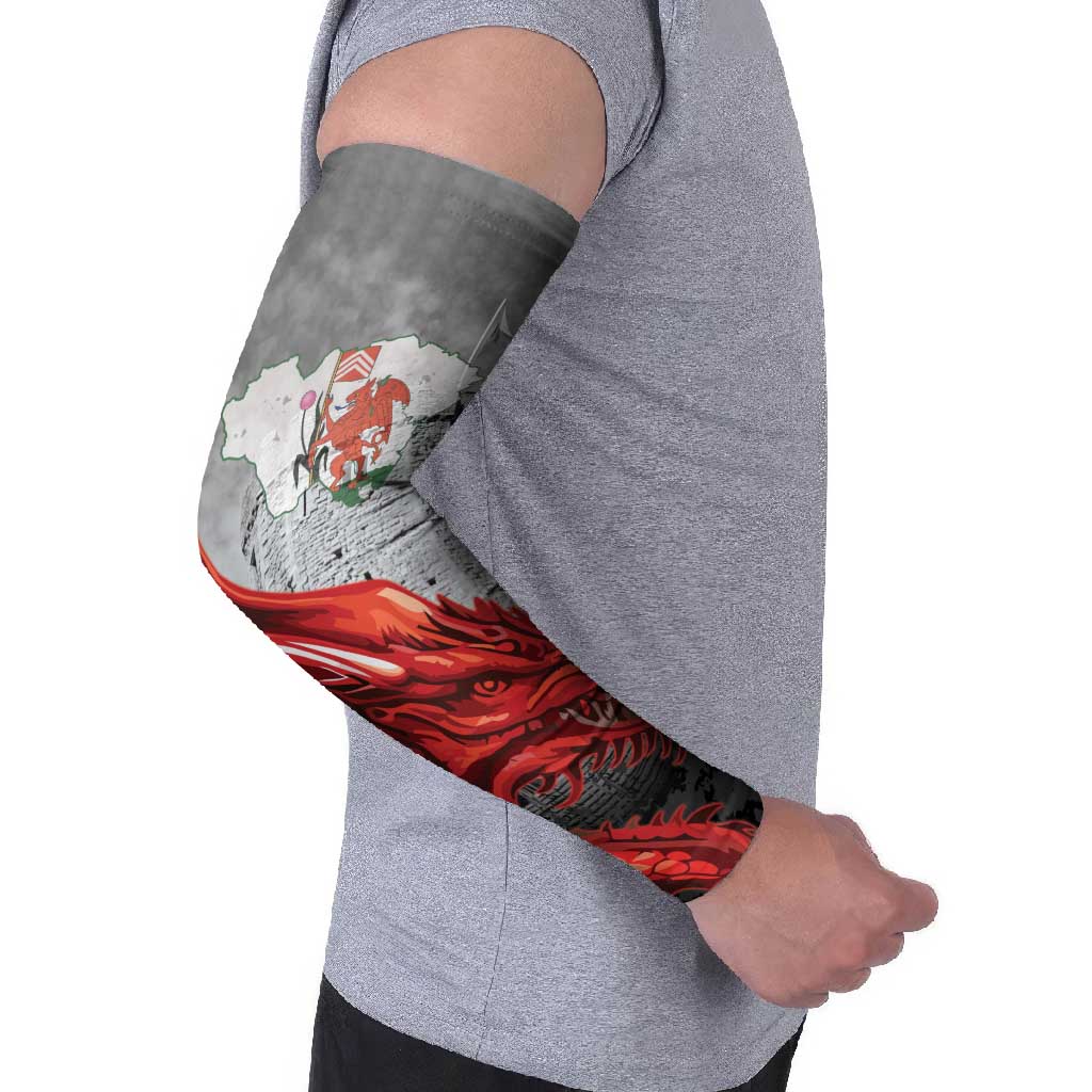 Wales Cardiff Capital Arm Sleeves Welsh Red Dragon Castell Caerdydd - Wonder Print Shop