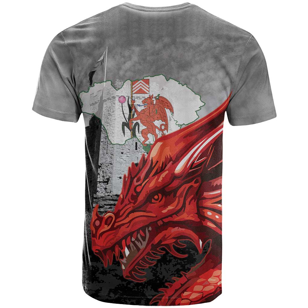Wales Cardiff Capital T Shirt Welsh Red Dragon Castell Caerdydd - Wonder Print Shop