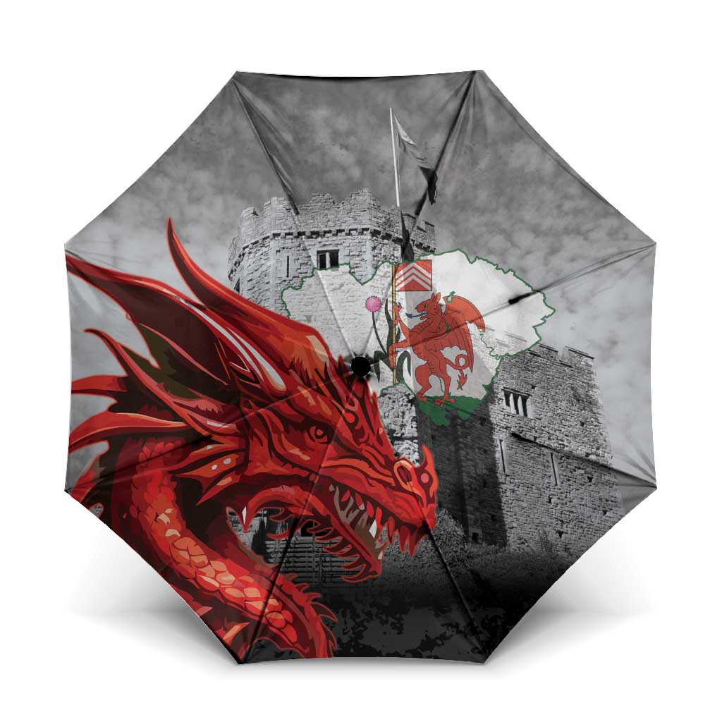 Wales Cardiff Capital Umbrella Welsh Red Dragon Castell Caerdydd - Wonder Print Shop