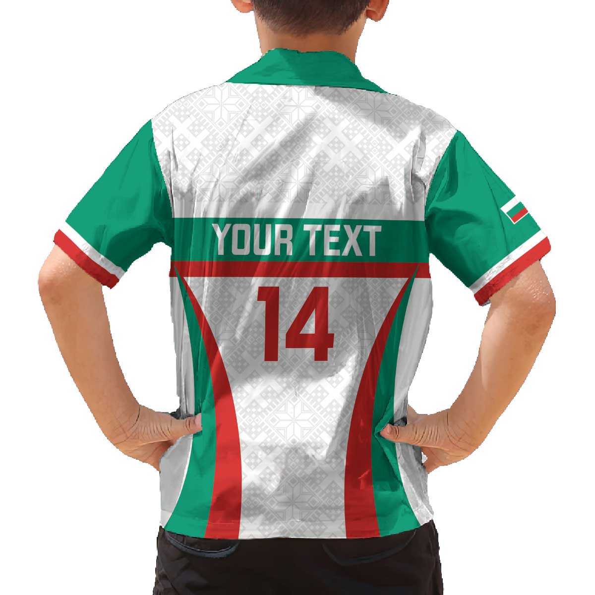 Custom Bulgaria Football Family Matching Off The Shoulder Long Sleeve Dress and Hawaiian Shirt Bulgarian Pattern Sporty Style