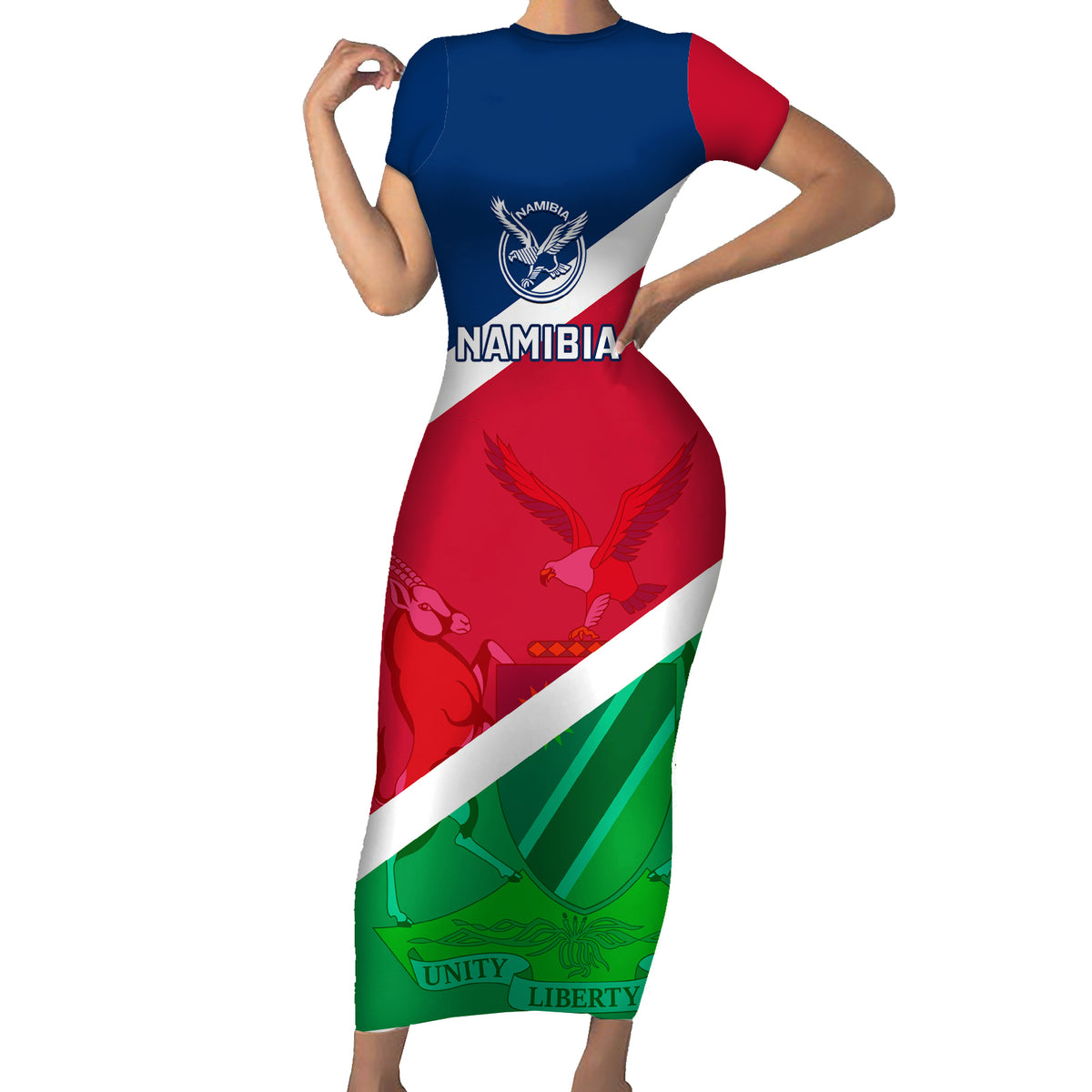 Namibia Rugby Family Matching Short Sleeve Bodycon Dress and Hawaiian Shirt 2023 Welwitschias Flag Style - Wonder Print Shop
