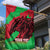 Custom Wales Football Garden Flag 2025 Welsh Y Dreigiau