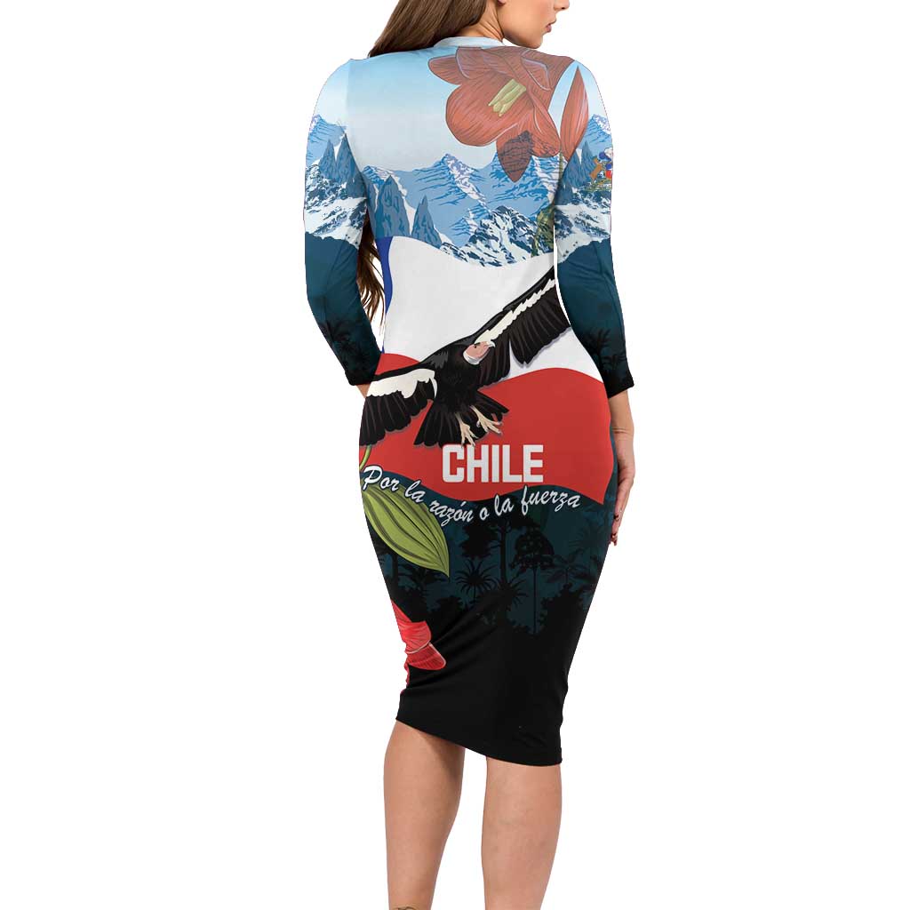 Chile Fiestas Patrias Family Matching Long Sleeve Bodycon Dress and Hawaiian Shirt Andean Condor Andes Mountains - Wonder Print Shop