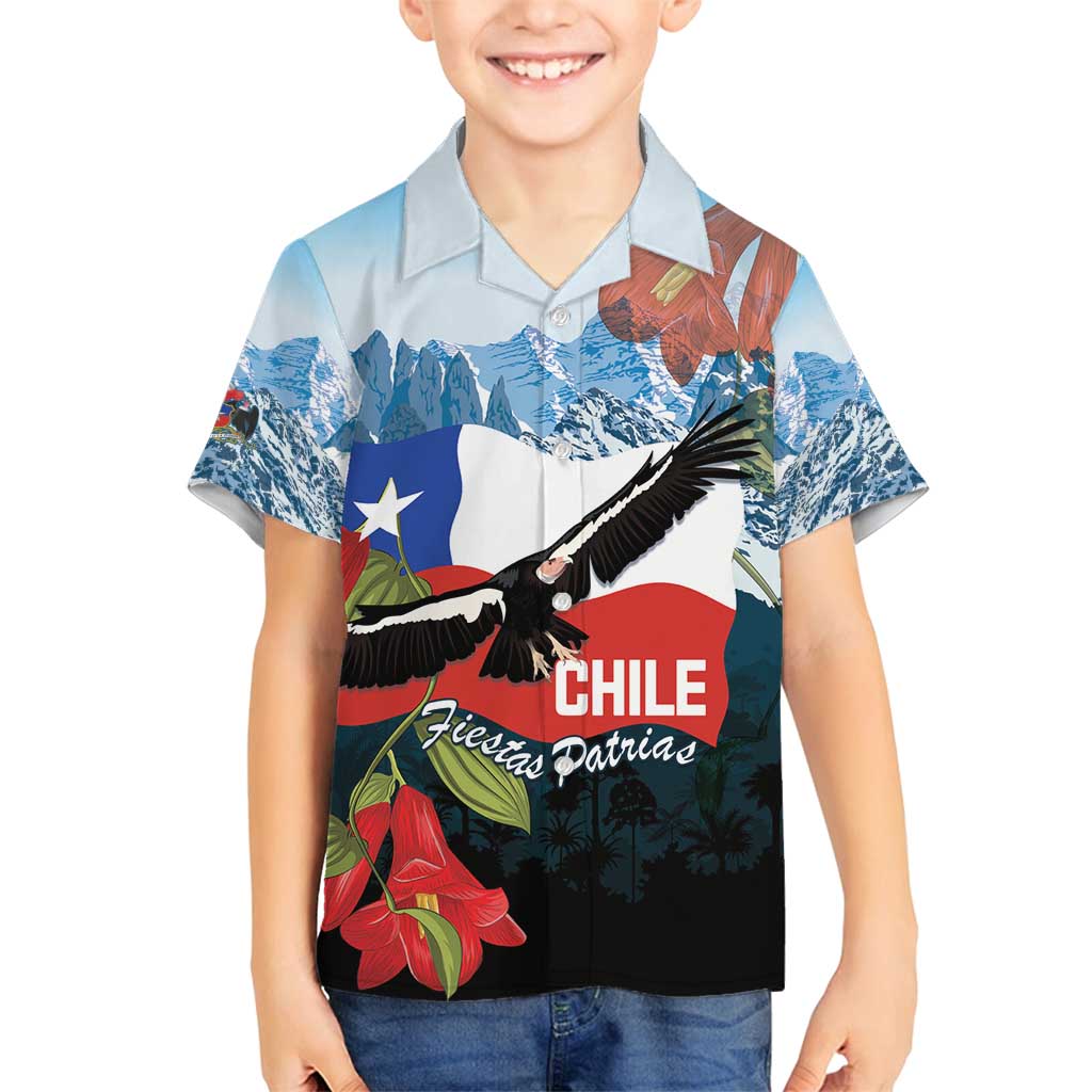 Chile Fiestas Patrias Family Matching Long Sleeve Bodycon Dress and Hawaiian Shirt Andean Condor Andes Mountains - Wonder Print Shop