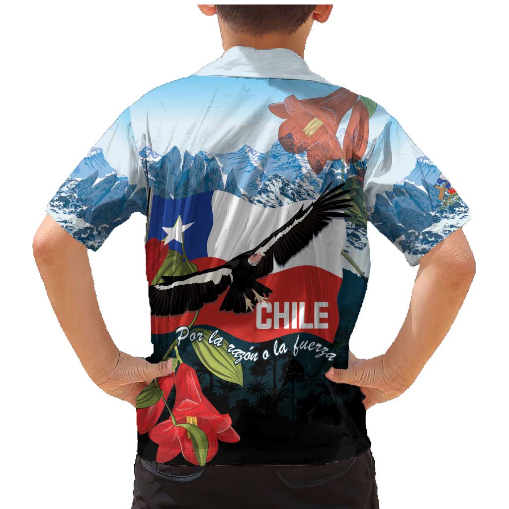 Chile Fiestas Patrias Family Matching Mermaid Dress and Hawaiian Shirt Andean Condor Andes Mountains - Wonder Print Shop