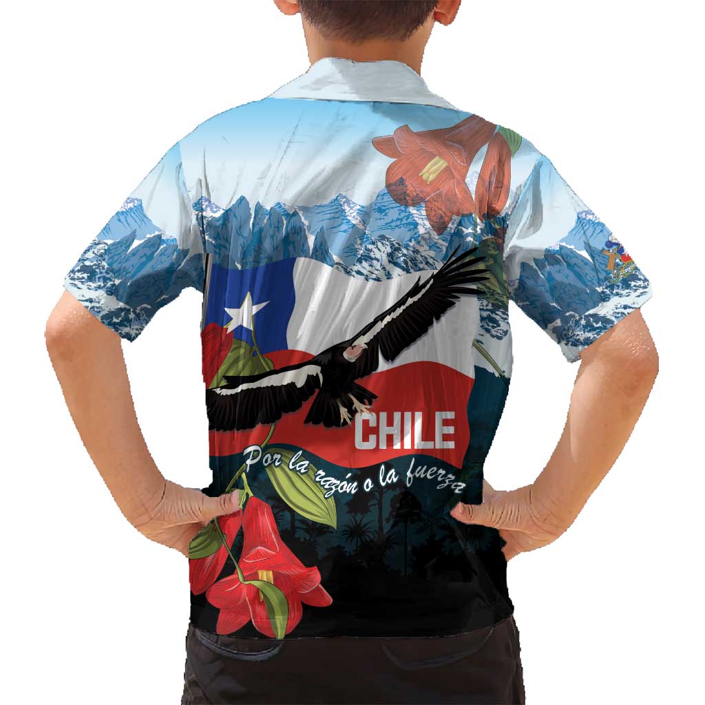 Chile Fiestas Patrias Family Matching Summer Maxi Dress and Hawaiian Shirt Andean Condor Andes Mountains - Wonder Print Shop