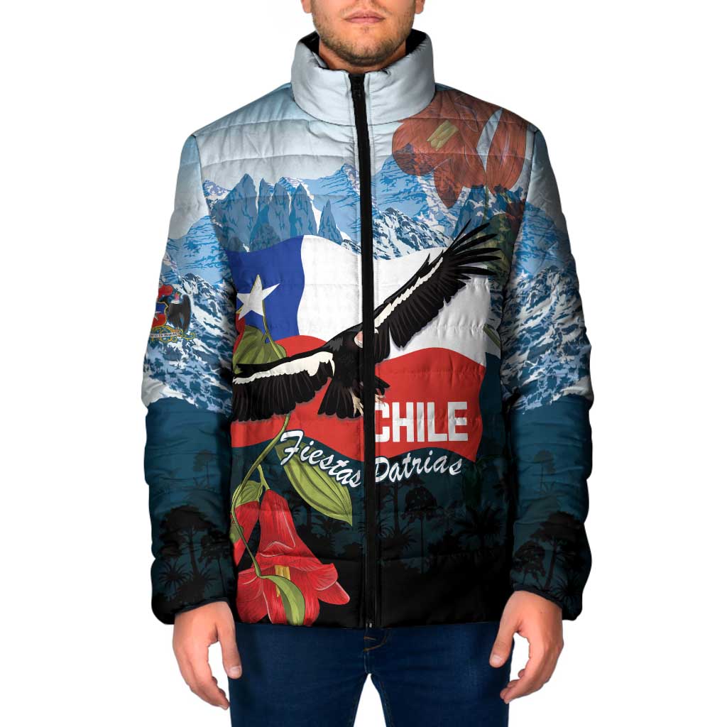 Chile Fiestas Patrias Padded Jacket Andean Condor Andes Mountains - Wonder Print Shop
