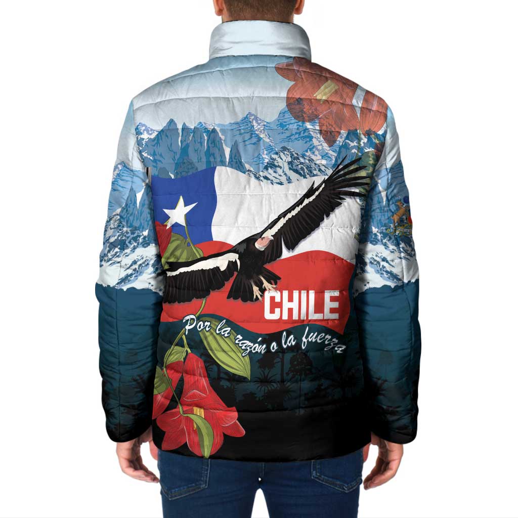 Chile Fiestas Patrias Padded Jacket Andean Condor Andes Mountains - Wonder Print Shop
