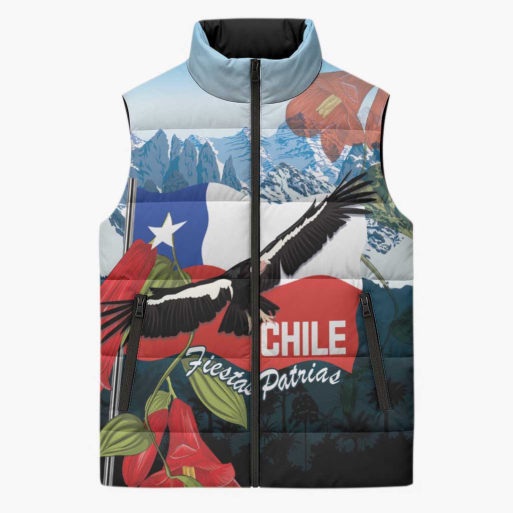 Chile Fiestas Patrias Sleeveless Puffer Jacket Andean Condor Andes Mountains - Wonder Print Shop