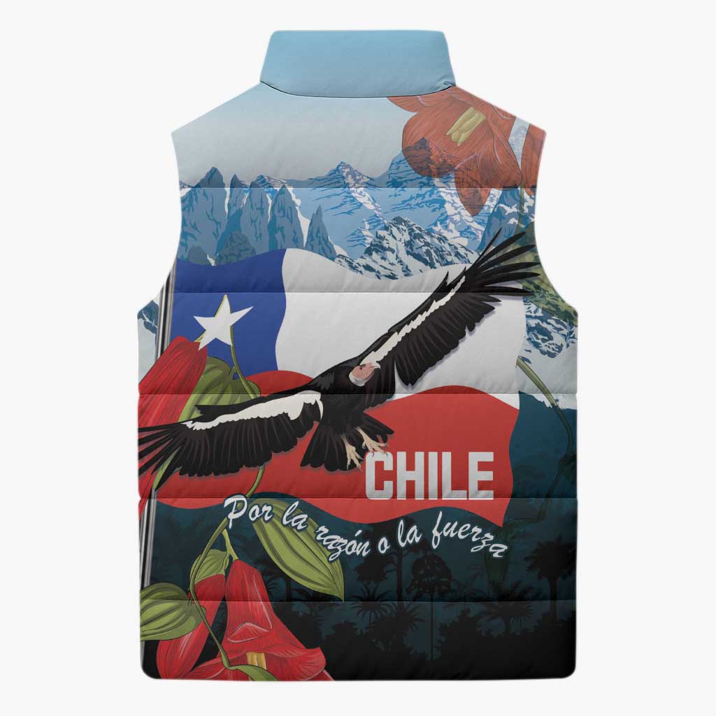Chile Fiestas Patrias Sleeveless Puffer Jacket Andean Condor Andes Mountains - Wonder Print Shop