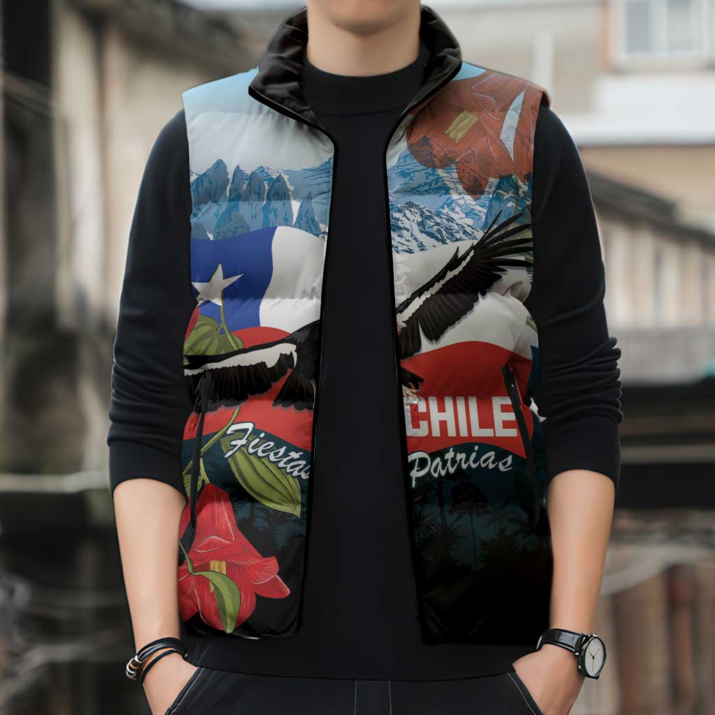 Chile Fiestas Patrias Sleeveless Puffer Jacket Andean Condor Andes Mountains - Wonder Print Shop