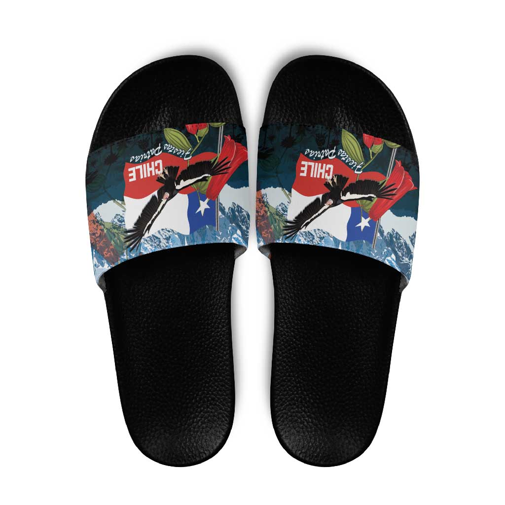 Chile Fiestas Patrias Slide Sandals Andean Condor Andes Mountains - Wonder Print Shop