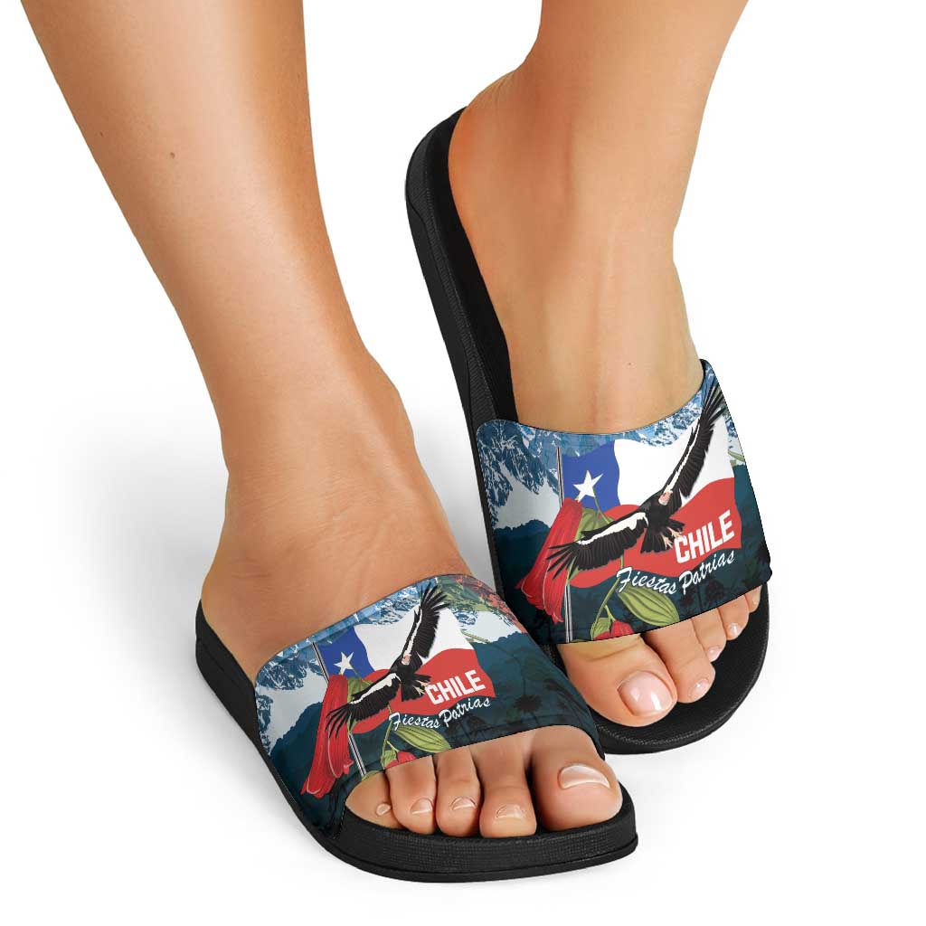 Chile Fiestas Patrias Slide Sandals Andean Condor Andes Mountains - Wonder Print Shop