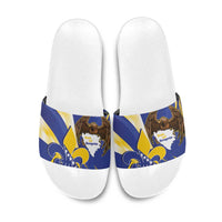 Bosnia and Herzegovina Independence Day Slide Sandals Zlatni Ljiljan Map With Eagle Proud