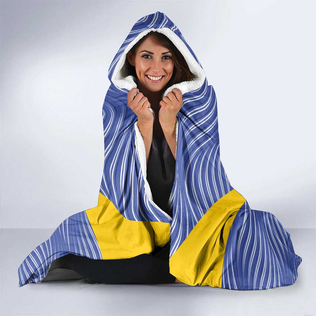 Custom Bosnia and Herzegovina Football Hooded Blanket Come On Zmajevi