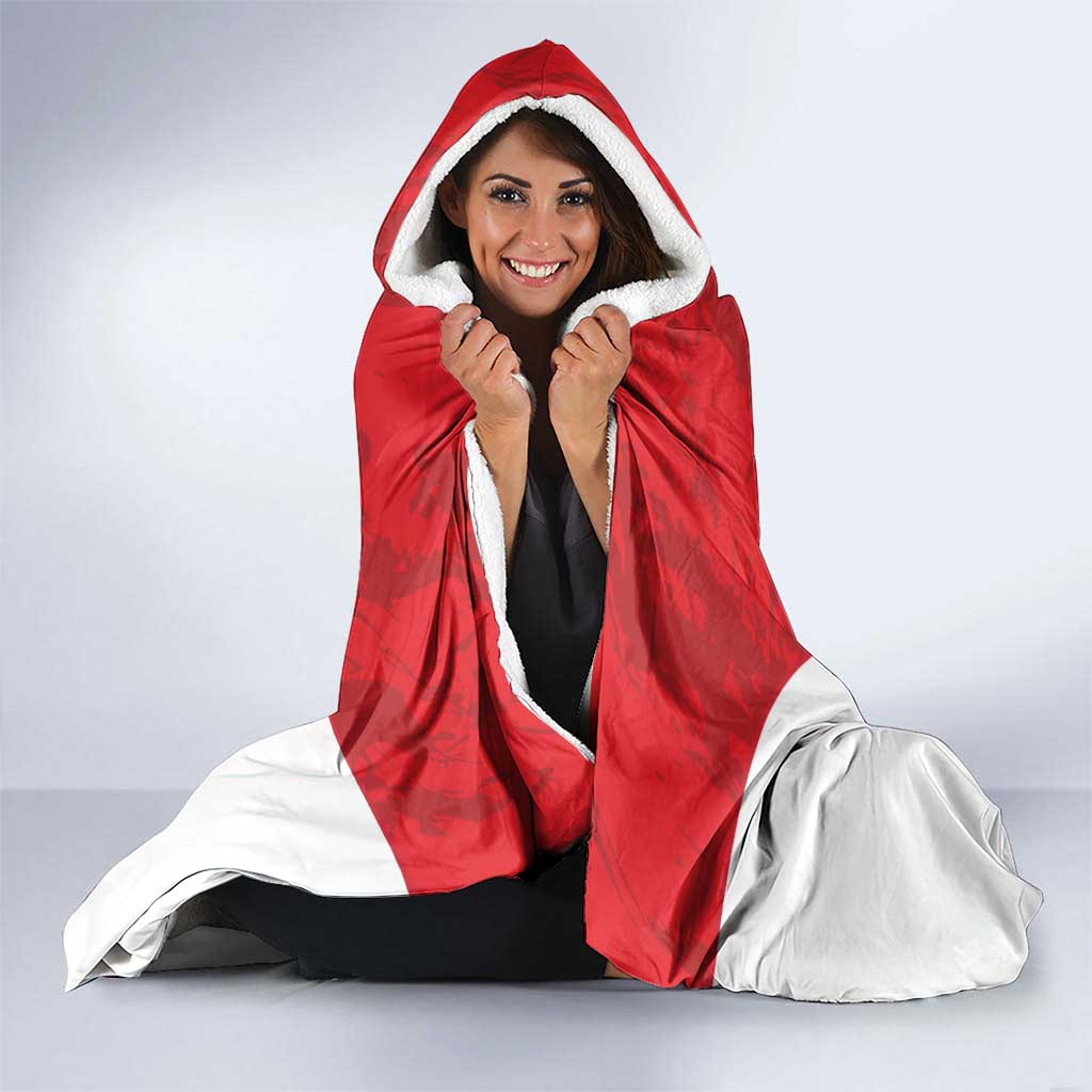 Tunisia Basketball Custom Hooded Blanket Go Champions Eagles of Carthage - Wonder Print Shop