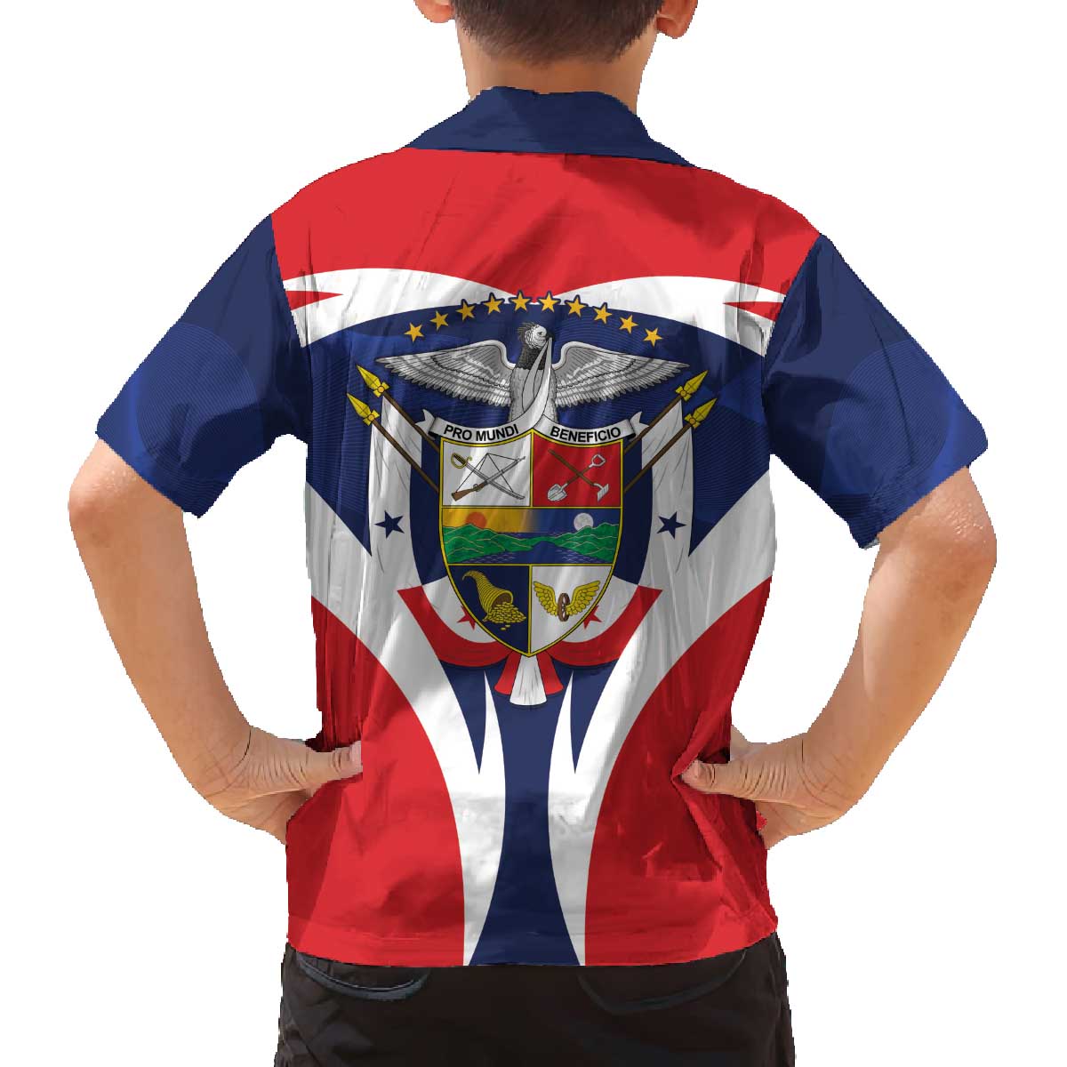 Panama Golden Frog Family Matching Off The Shoulder Long Sleeve Dress and Hawaiian Shirt Coat Of Arms - Sporty Style - Wonder Print Shop