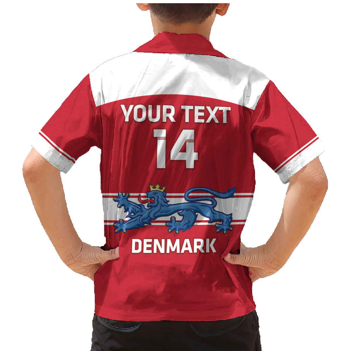 Custom Denmark Hockey Family Matching Mermaid Dress and Hawaiian Shirt Go Danish Lions - Wonder Print Shop