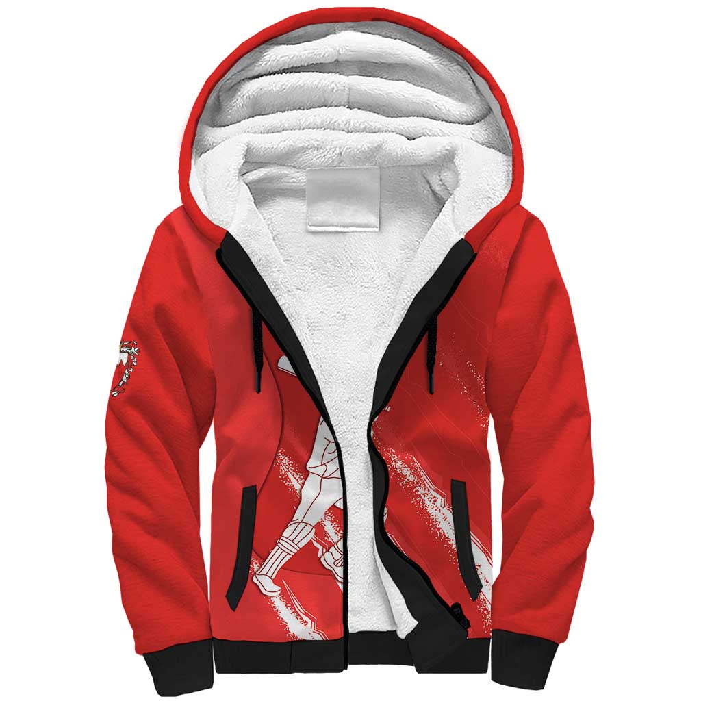 Custom Bahrain Cricket Sherpa Hoodie Go Champions Grunge Style - Wonder Print Shop