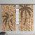 Gulf of Mexico Forever Window Curtain Mexican Turtle Brown Version