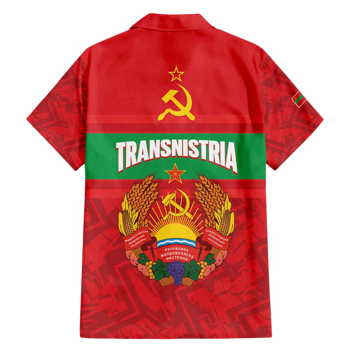 Transnistria Independence Day Family Matching Off The Shoulder Long Sleeve Dress and Hawaiian Shirt Coat Of Arms Flag Style - Wonder Print Shop